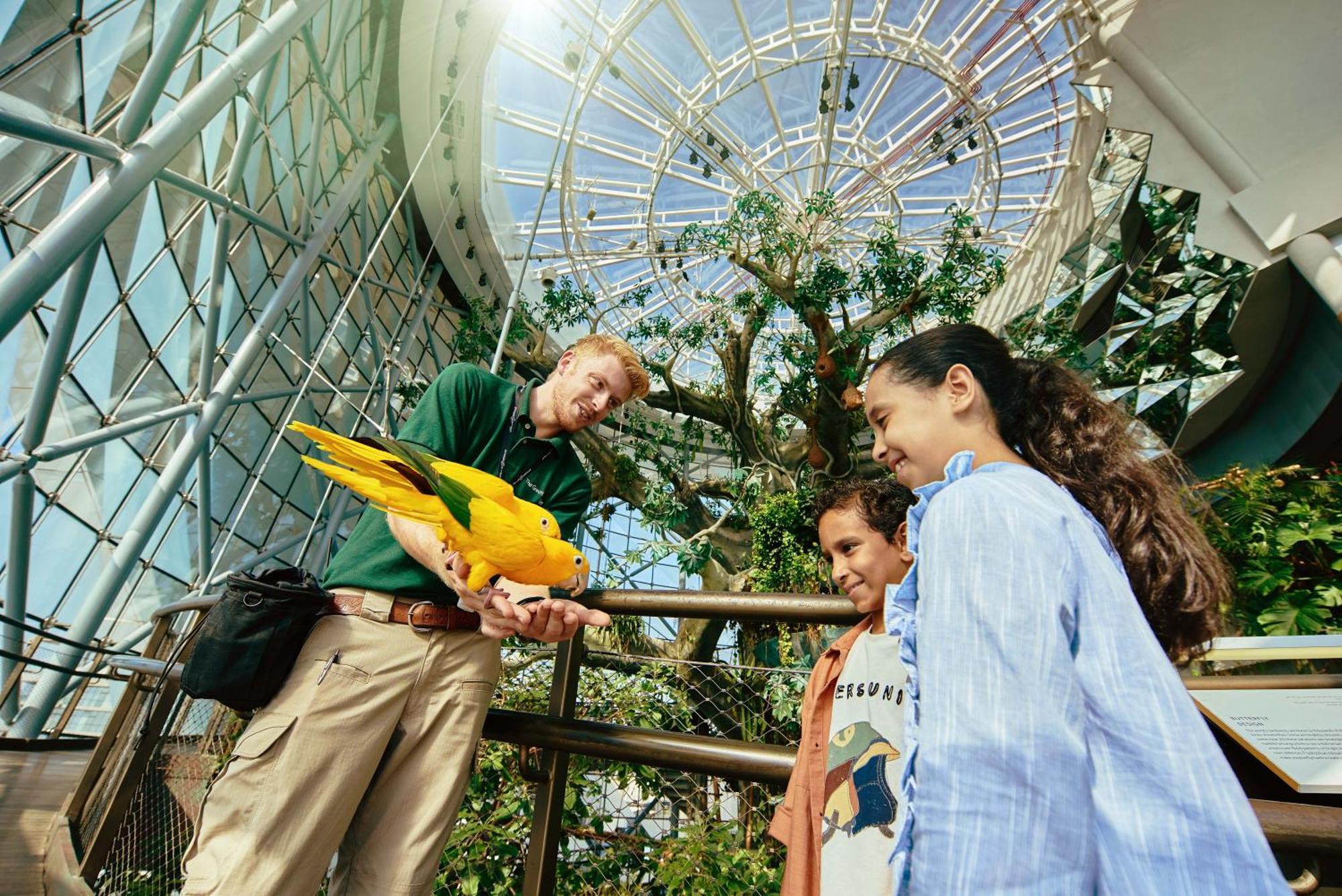 La Ville Hotel & Suites City Walk Dubai, Autograph Collection Buitenkant foto The Aviary